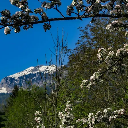 펜션 La Fraceline